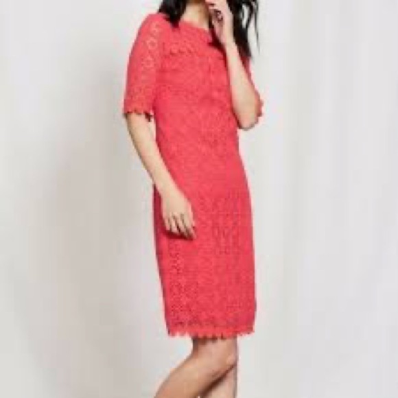 Boden Dresses & Skirts - 356- Boden Poppy NWOT Pink Floral Eyelet Midi Dress